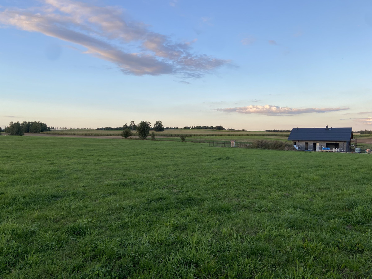 Sprzedam działki budowlane na Mazurach - Widok 3