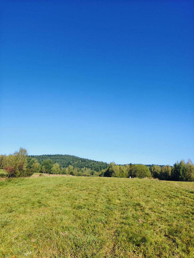 Kurów - 10 arowa działka pod dom w Beskidzie Makowskim / Powiat Suski - Widok 5