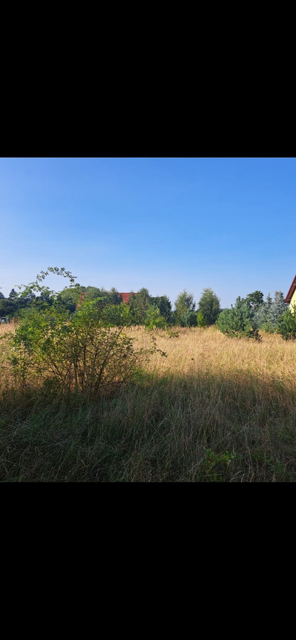 Piękna działka pod wymarzony dom - Widok 3