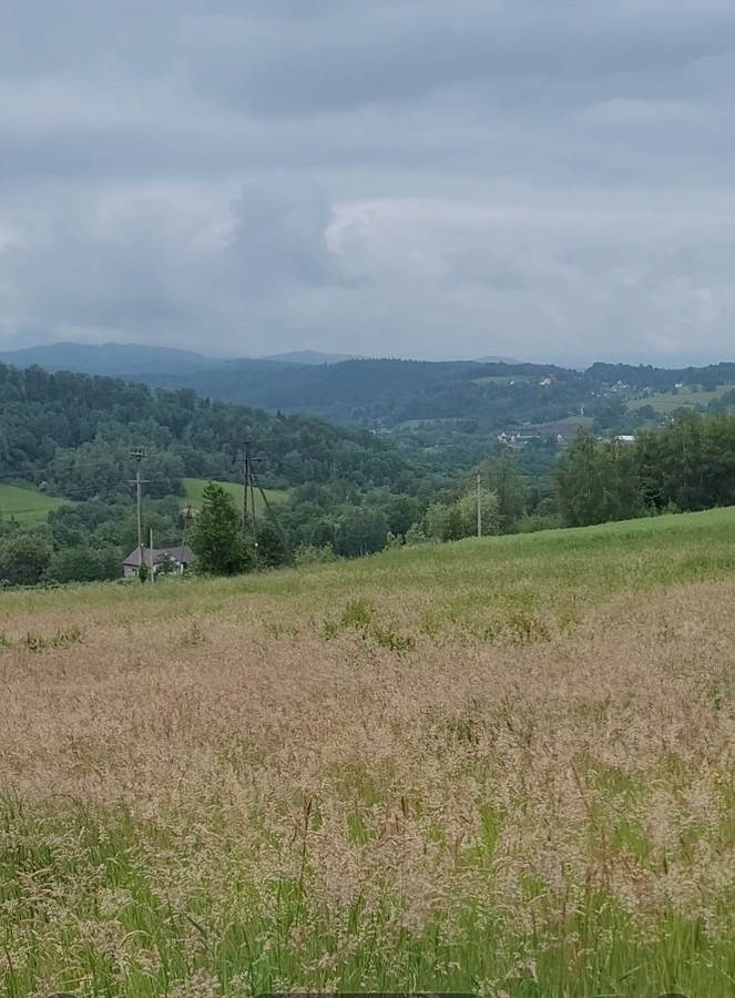 Dzialka budowlana - Widok 3