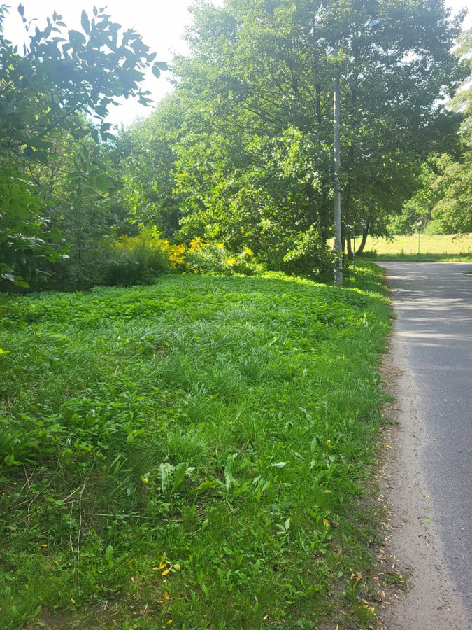 sprzedam działkę budowlaną - Widok 3