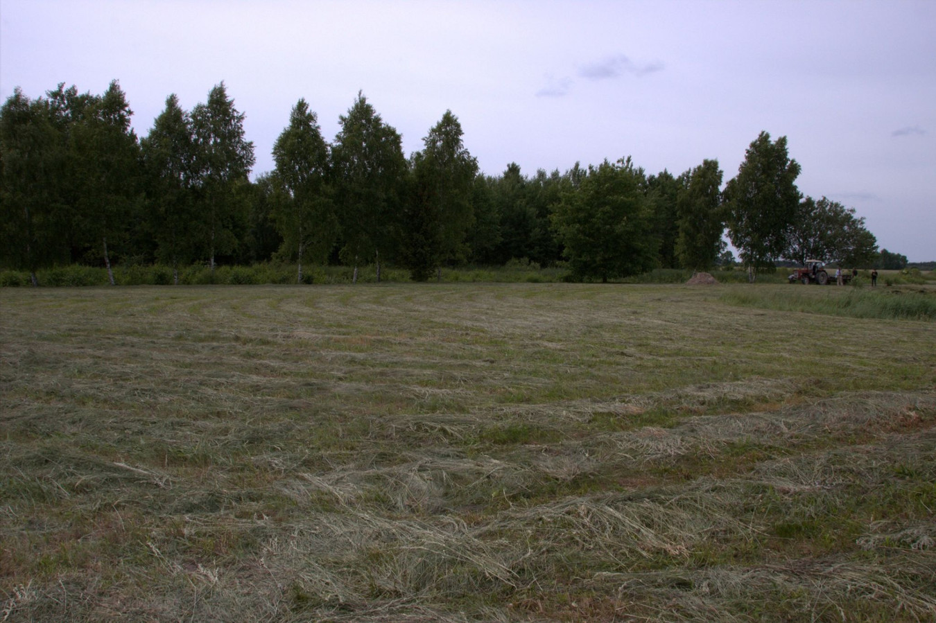 Piękna działka 7800 m² z WZ i stawem! Modrzewie, gm. Szczutowo - Widok 4