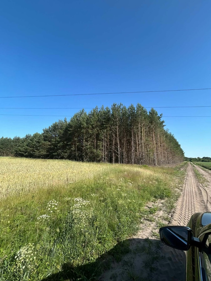 pakiet gruntów rolnych i leśnych w m. Bużyska, gm. Korczew - Widok 2