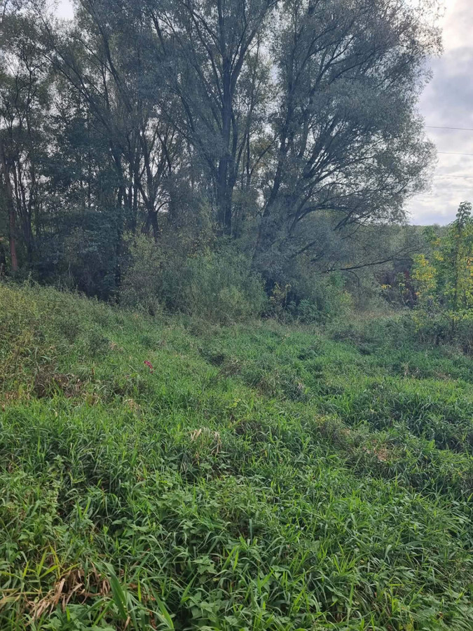 Działka rekreacyjna z dostępem do rzeki - Więcej