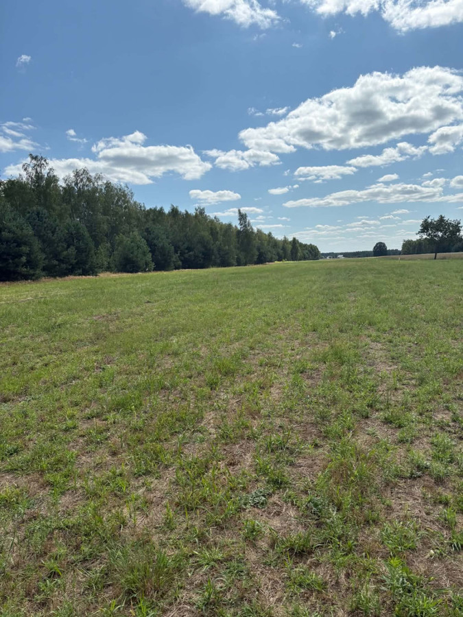 Działki budowlane Dębinki pow.Wyszkowski 940 m² - Widok 5