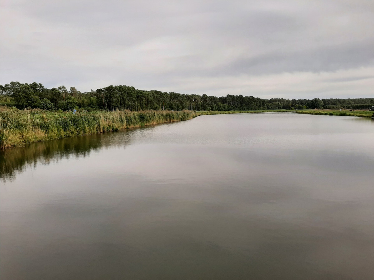 Dom – Sobolew, Godzisz - Więcej