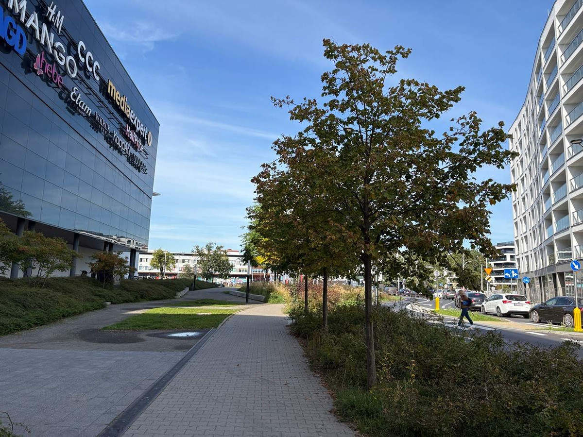 Lokal handlowo-usługowy 41,80 m² | duże witryny | przy Galerii Północnej - Widok 3