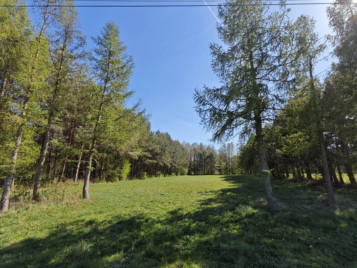 Piękna działka z Warunkami Zabudowy blisko Narwi. 80 km od Warszawy - Widok 2