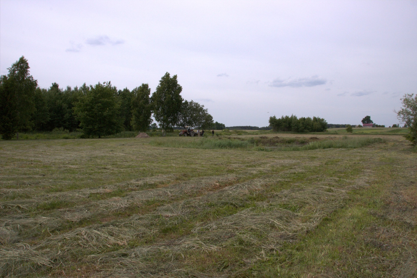 Piękna działka 7800 m² z WZ i stawem! Modrzewie, gm. Szczutowo - Widok 3