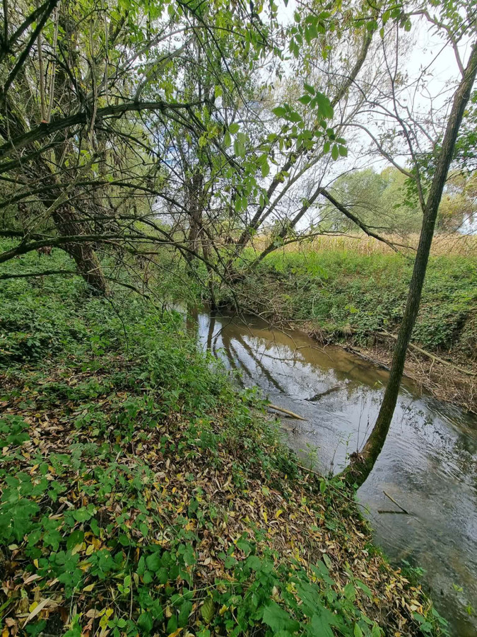 Działka rekreacyjna z dostępem do rzeki - Widok 5