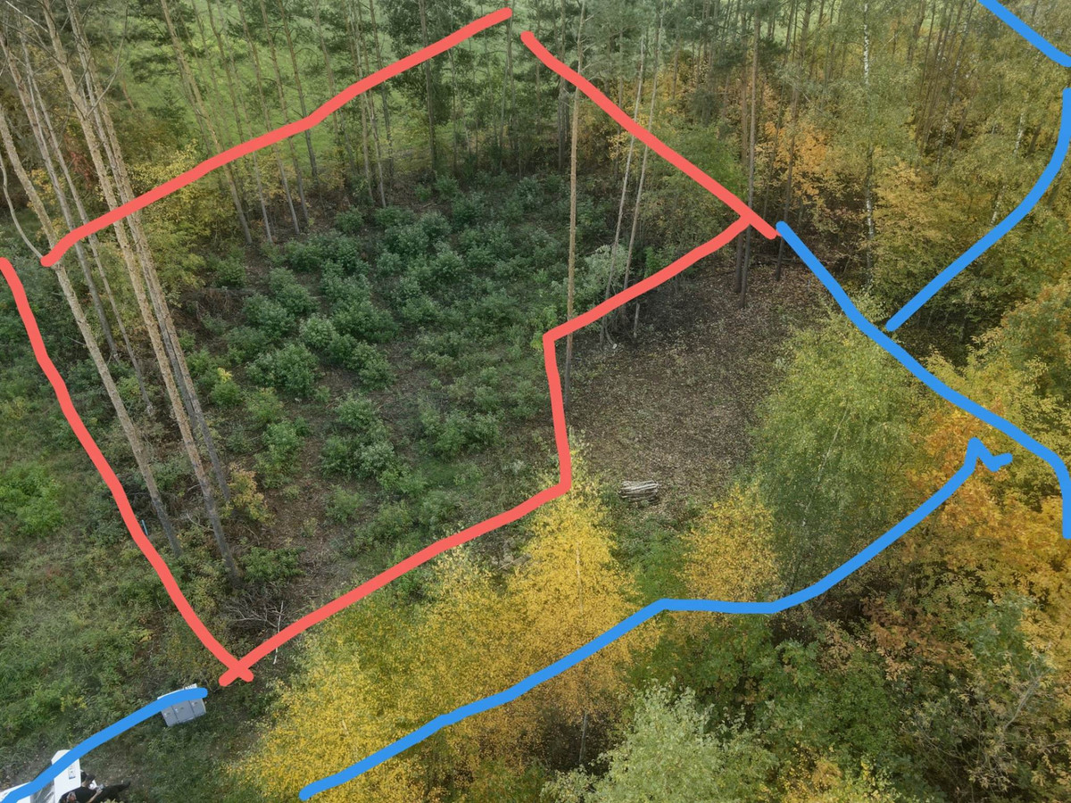 Sprzedam działkę 1119m² MPZP (pozwolenie na budowę) - Widok 3