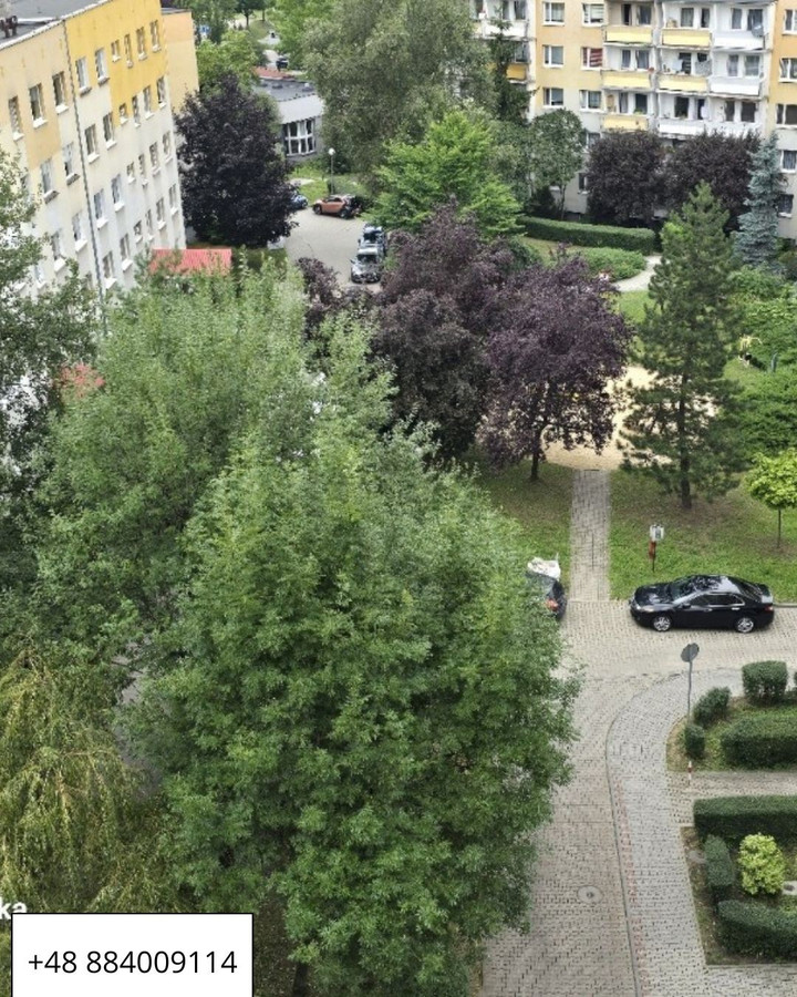 Mieszkanie – Katowice, Osiedle Wincentego Witosa, Os. Witosa - Więcej