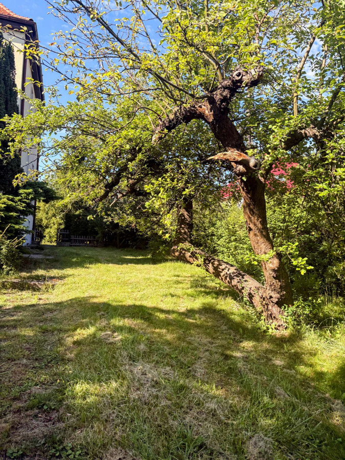 Mieszkanie – Oborniki Śląskie - Widok 5