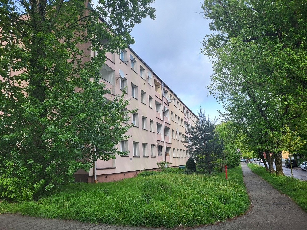 WYNAJĘTE - Więcej