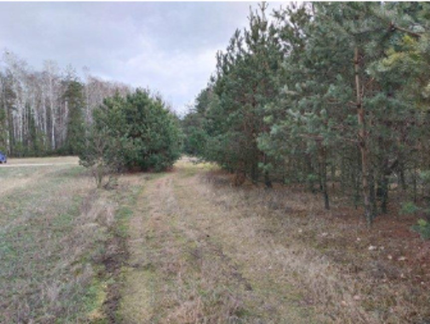 Syndyk sprzeda nieruchomość gruntową w Bagienice Wielkie - Widok 2