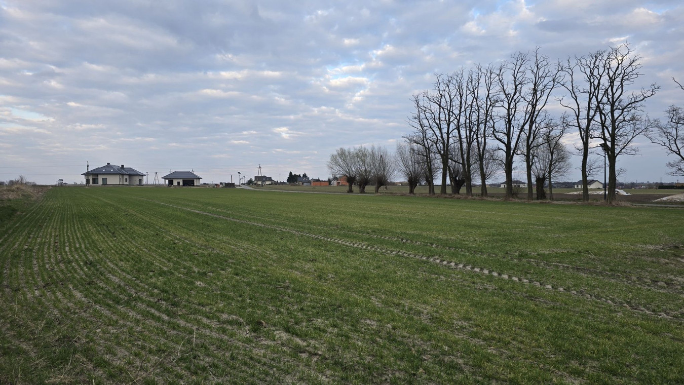Działka budowlana Pruszków koło Kalisza - Widok 3