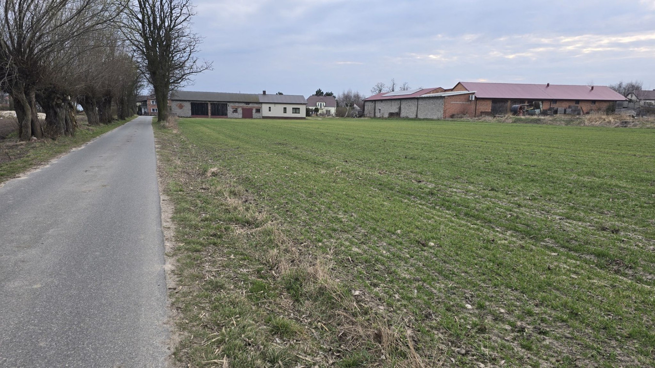 Działka budowlana Pruszków koło Kalisza - Widok 5