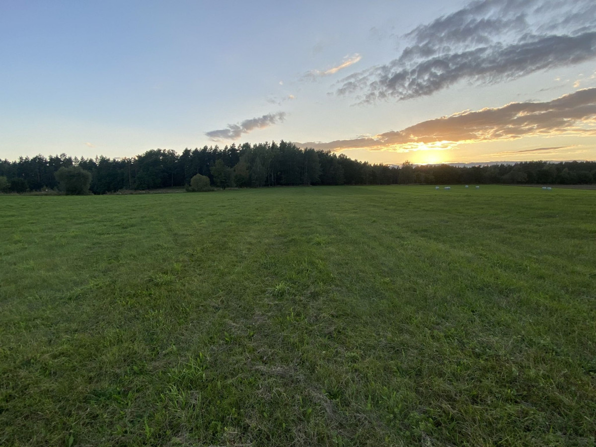 Sprzedam działki budowlane na Mazurach - Widok 5
