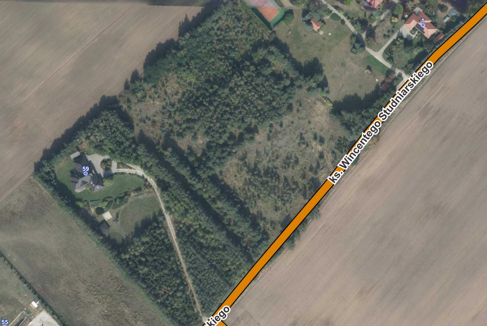 Działka budowlana Kicin/Czerwonak - Widok 3