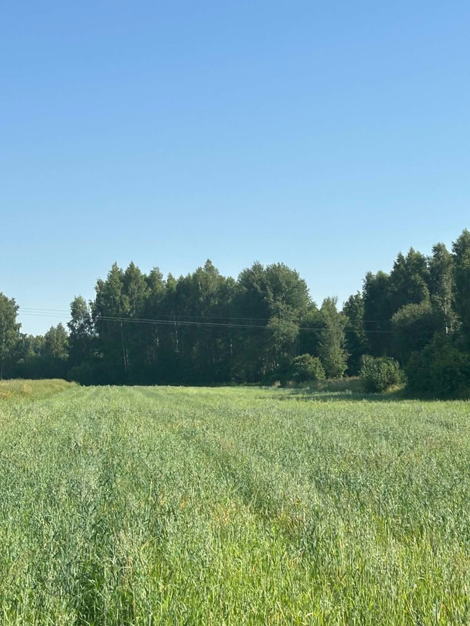 pakiet gruntów rolnych i leśnych w m. Bużyska, gm. Korczew - Widok 4