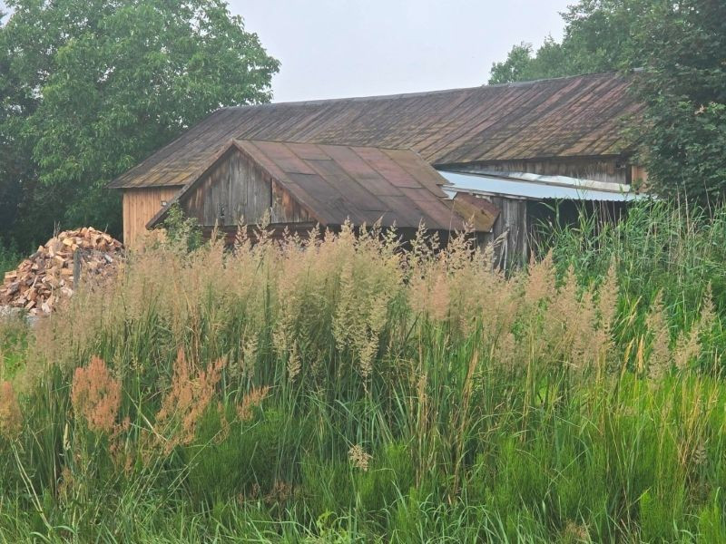 Sprzedaż udziału w nieruchomości w Terlikowie – 3/56 - Widok 5
