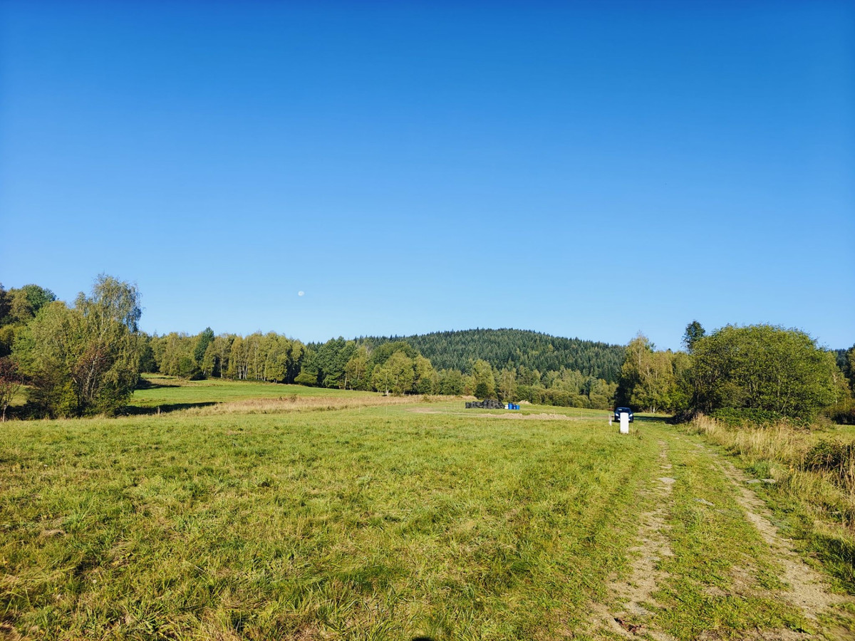 Kurów - 10 arowa działka pod dom w Beskidzie Makowskim / Powiat Suski - Więcej