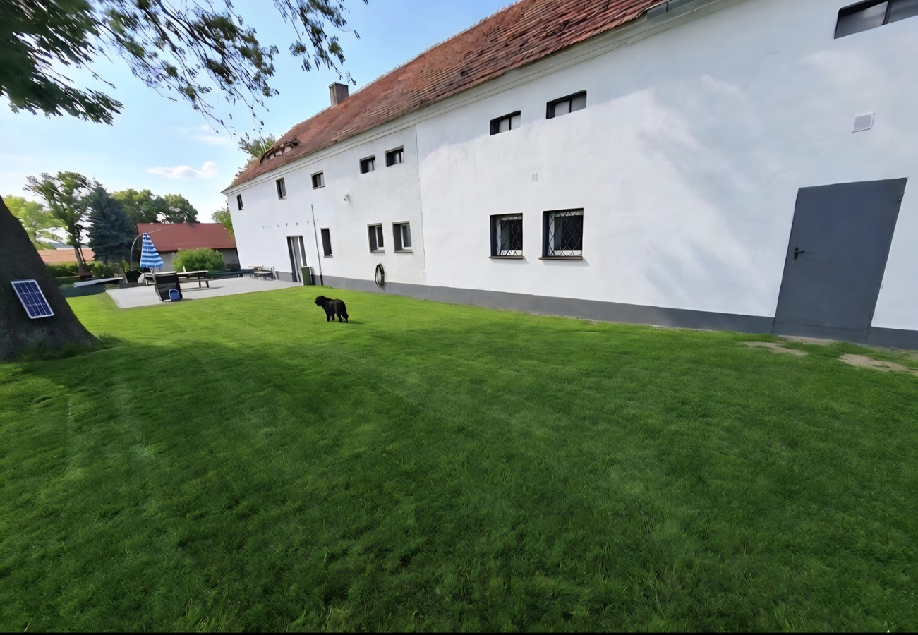 Dom – Stoszowice - Widok 4