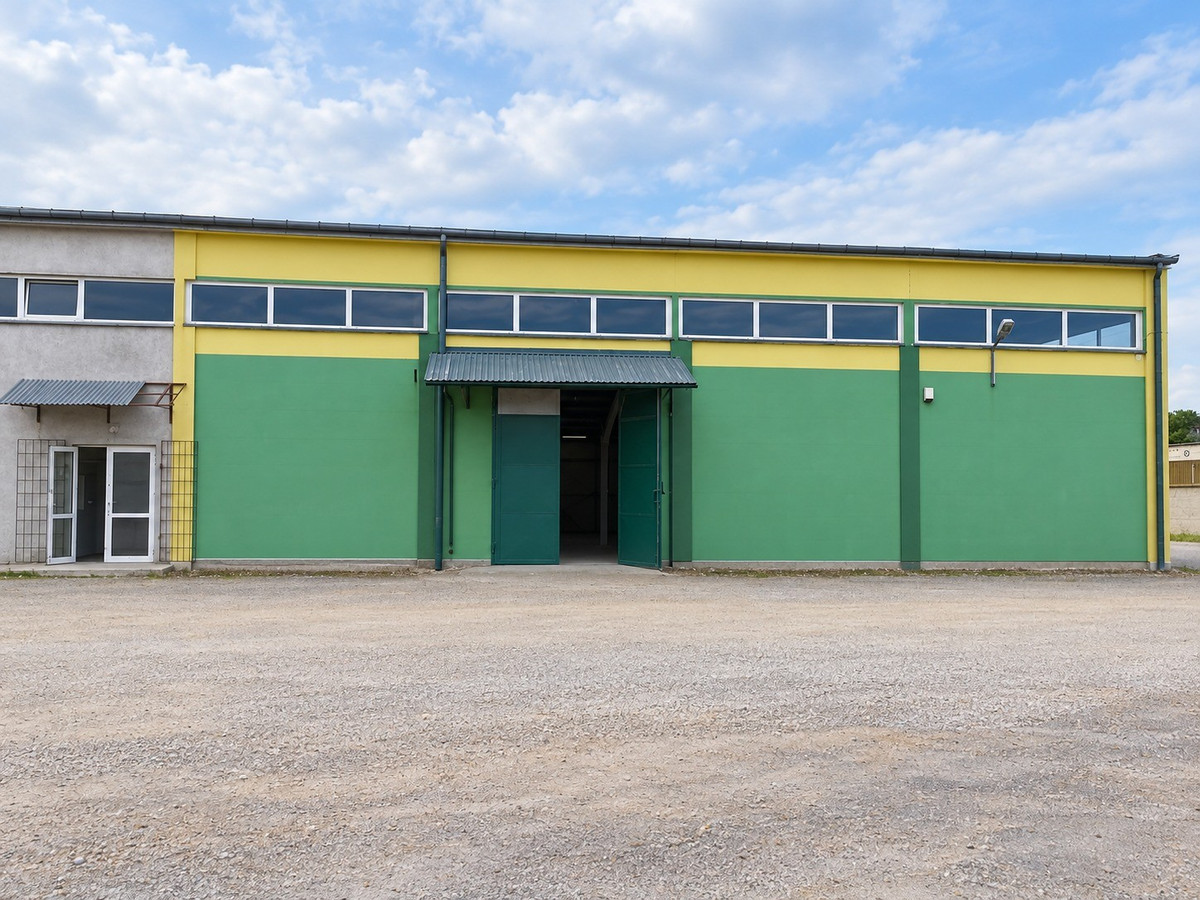 Hala magazynowo-usługowa 1 200 m² | Sokołów Podlaski - Widok 2