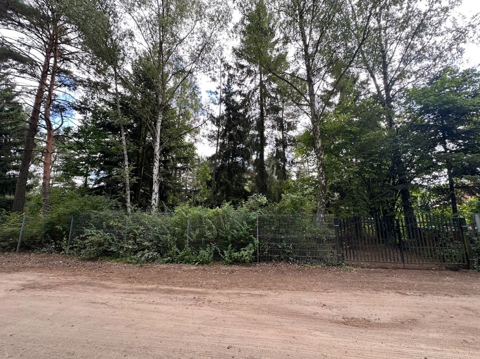 Puszczykowo / Mosina / WPN – działka 2450 m² wśród sosen, 12 km od Pzń - Widok 2