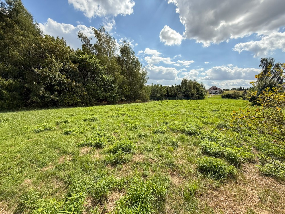Działka na sprzedaż 3000 m² - Krasieniec Stary - Więcej