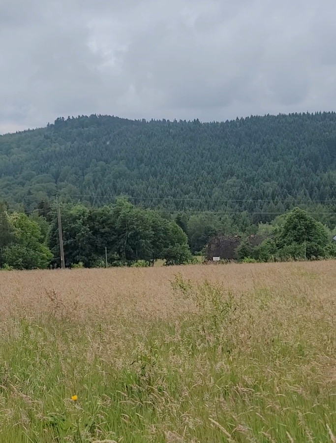 Dzialka budowlana - Widok 5