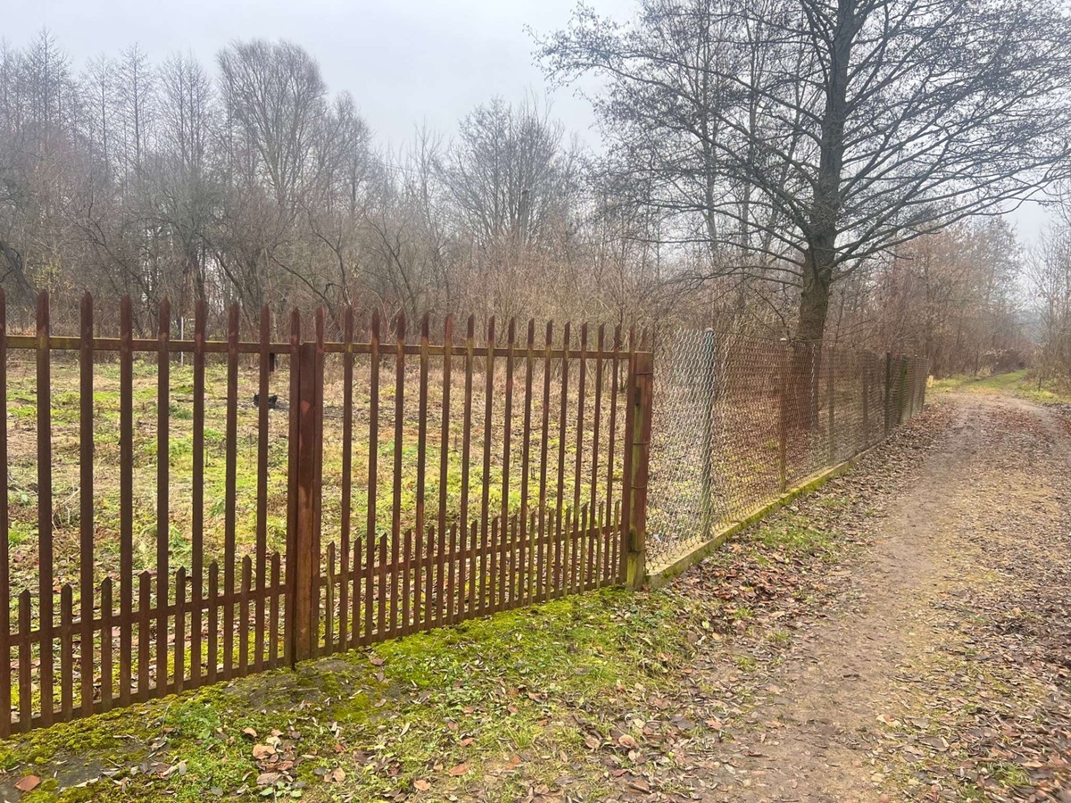 Działka budowlana nad Narwią/Zalewem Zegrzyńskim okolica Serock - Widok 3