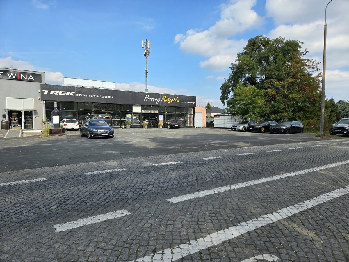 Pawilon handlowo-usługowy 396 m² | parking 600 m² | Poznań, Dąbrowskiego - Widok 2