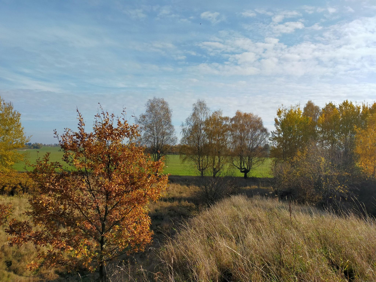 WYJĄTKOWA NIERUCHOMOŚĆ INWESTYCYJNA – BYŁA BAZA RADIOLOKACYJNA (4 HA) MILITARNY - Więcej