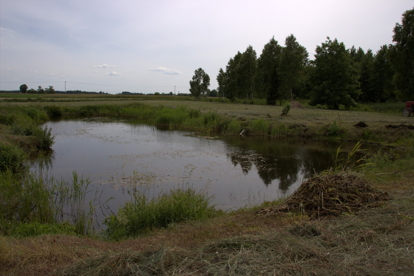 Piękna działka 7800 m² z WZ i stawem! Modrzewie, gm. Szczutowo - Widok 2
