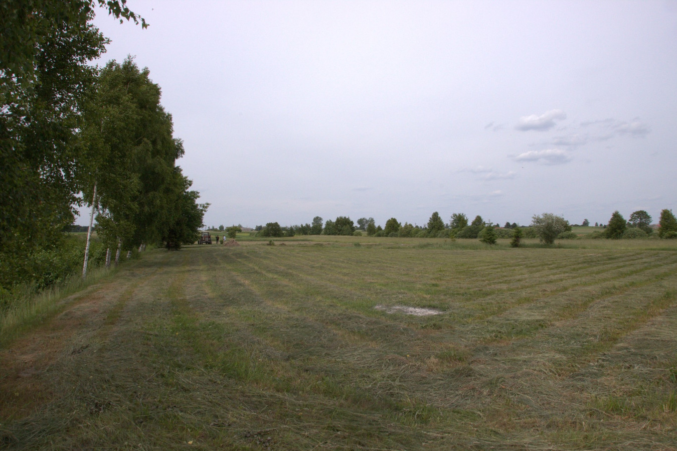 Piękna działka 7800 m² z WZ i stawem! Modrzewie, gm. Szczutowo - Widok 5