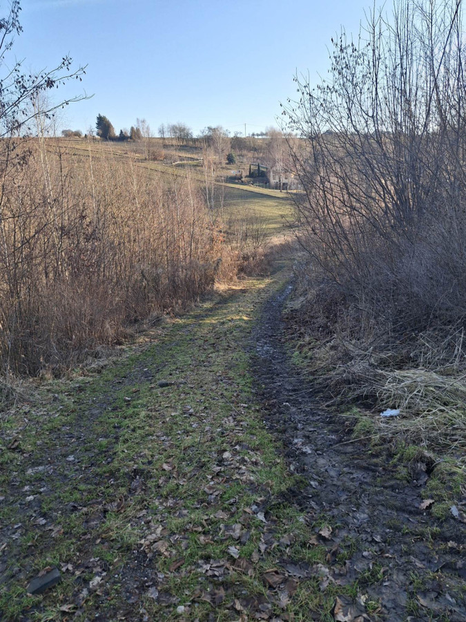 Dzialka budowlana - Widok 2