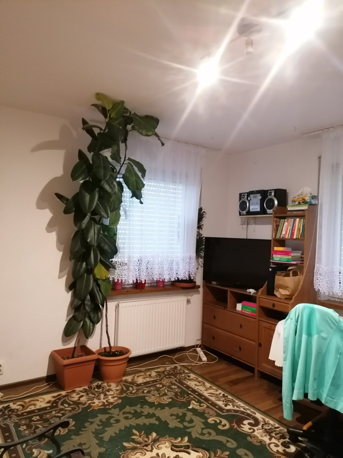Poznań Grunwald 2 pokoje sprzedam - Widok 4