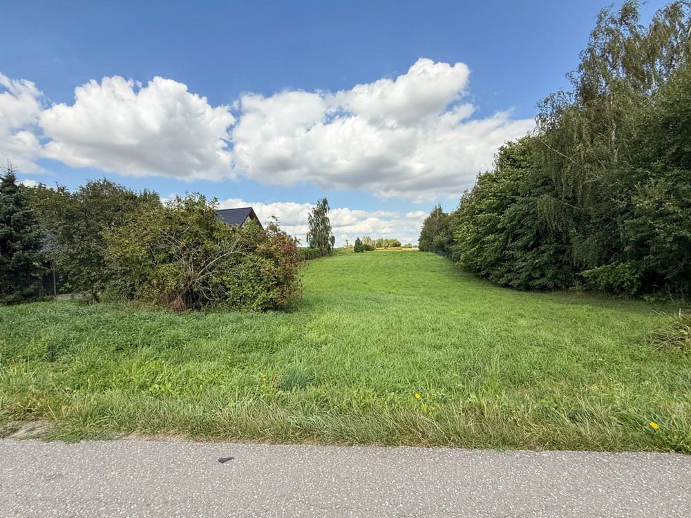 Działka na sprzedaż 3000 m² - Krasieniec Stary - Widok 3