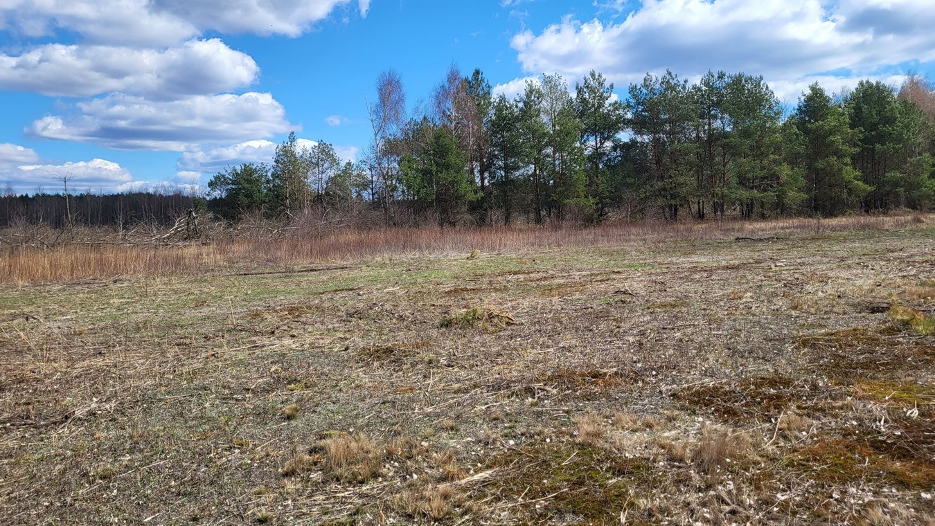 Nadma przy S8: 5126 m² MPZP bez WZ, 16-20 lokali - Więcej