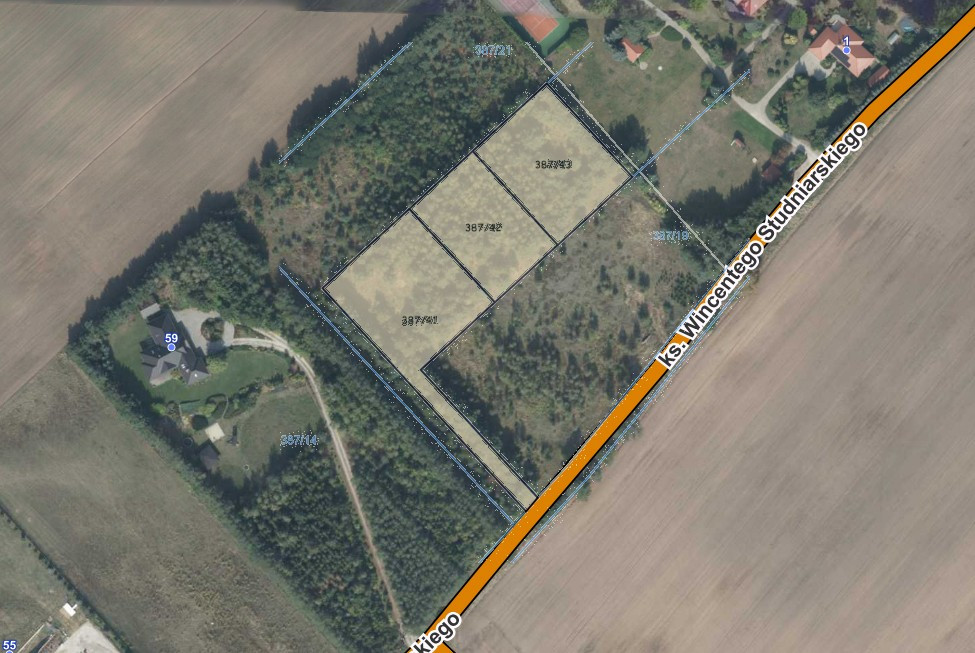 Działka budowlana Kicin/Czerwonak - Widok 2