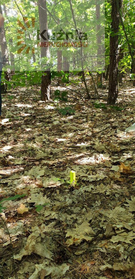 Działka budowlana 2300 m² i leśna 1700 m² – Falenica - Widok 4