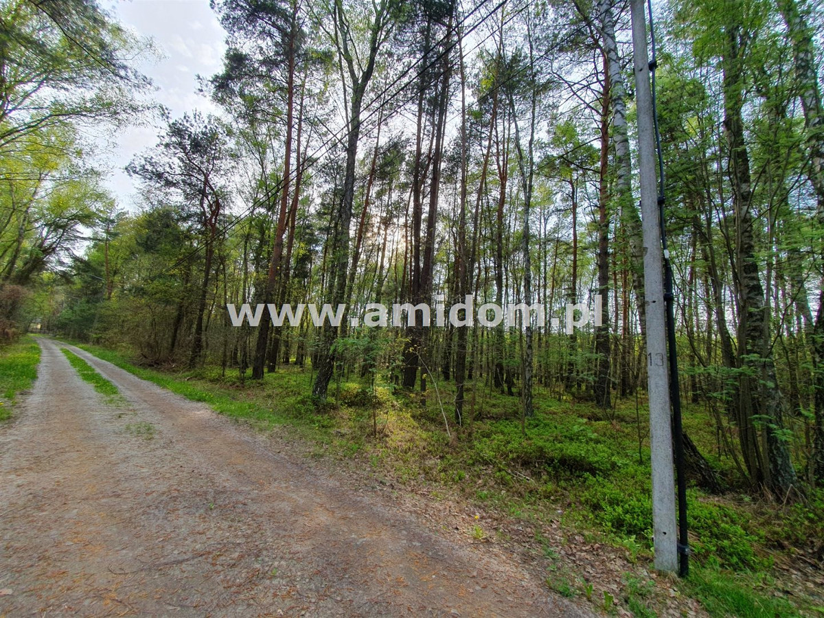 Zagościniec/Perkowizna, działka na sprzedaż - Widok 3