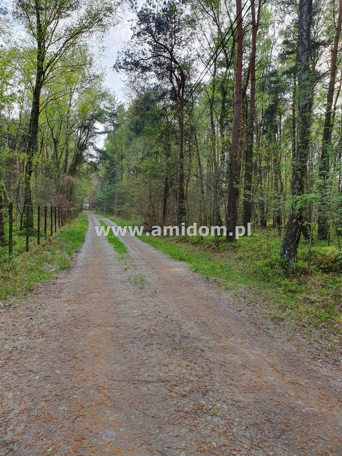 Zagościniec/Perkowizna, działka na sprzedaż - Więcej