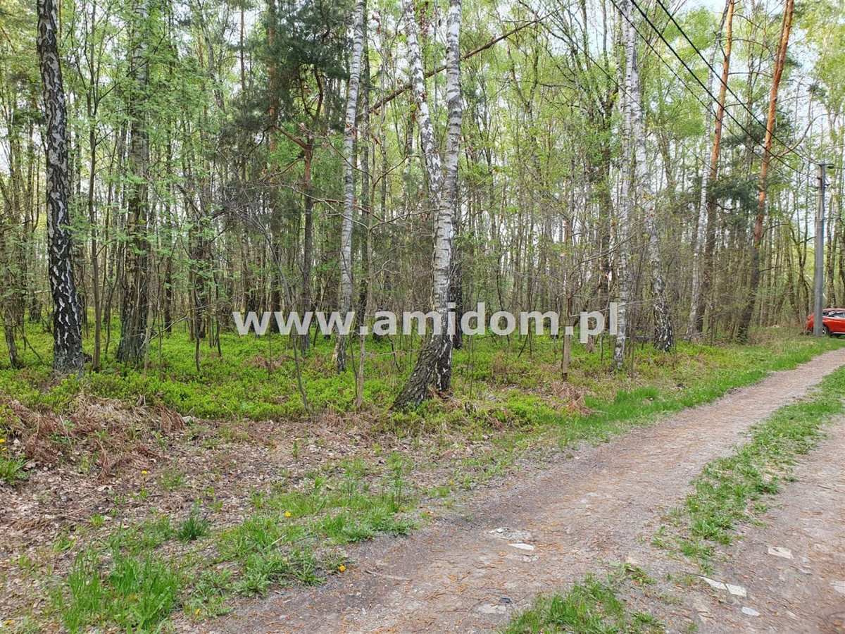 Zagościniec/Perkowizna, działka na sprzedaż - Widok 5
