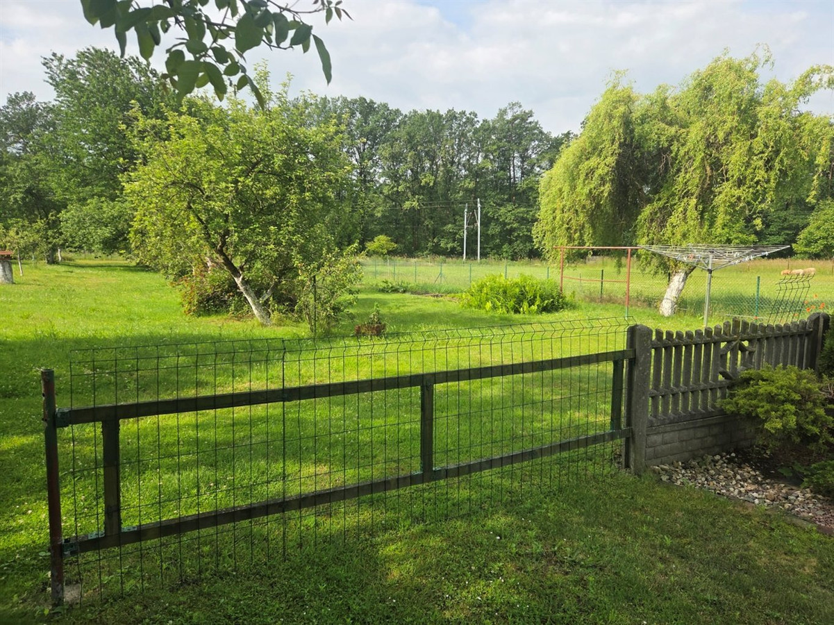 Dom – Strzelce Opolskie, Błotnica Strzelecka - Widok 3