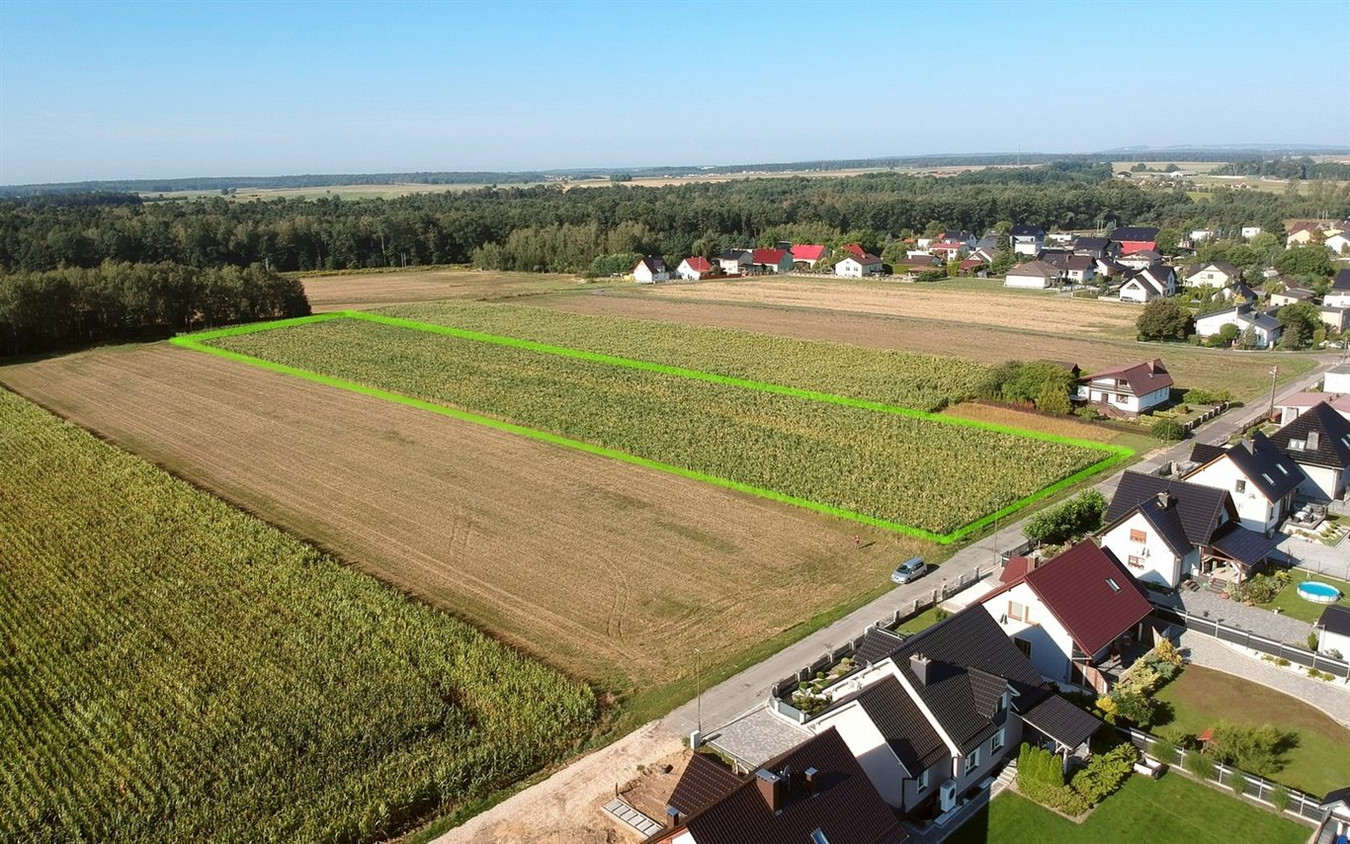 Błotnica Strzelecka, duży areał, potencjał inwest - Widok 3