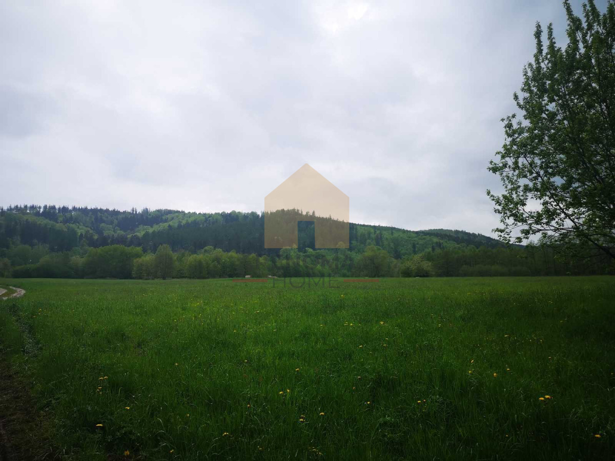 Ostatnia działka budowlana z panoramą gór - Widok 2