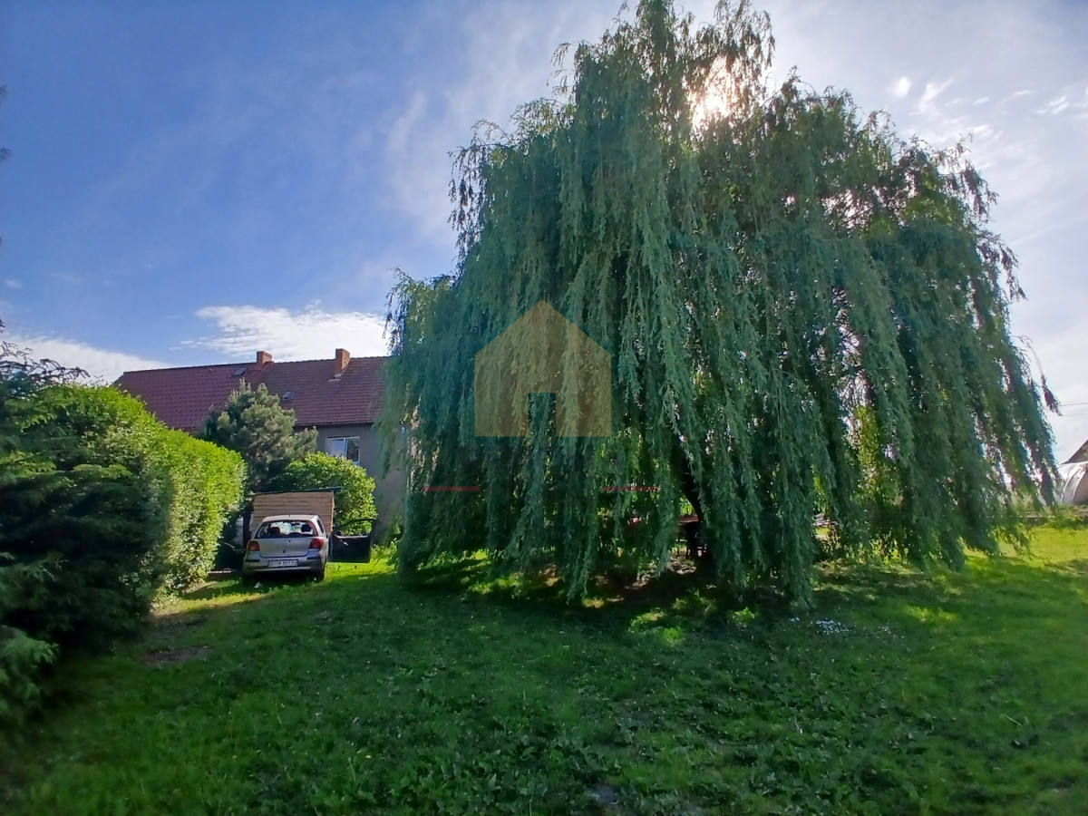 Dom – Świdnica - Więcej