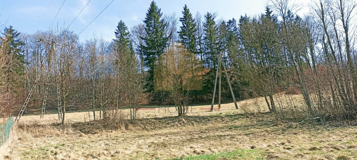 gratka-68823 - Widok 2